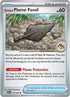 79-antiqueplumefossil