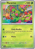 8-maractus