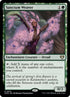 910-sanctumweaver