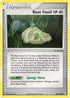 93-rootfossil